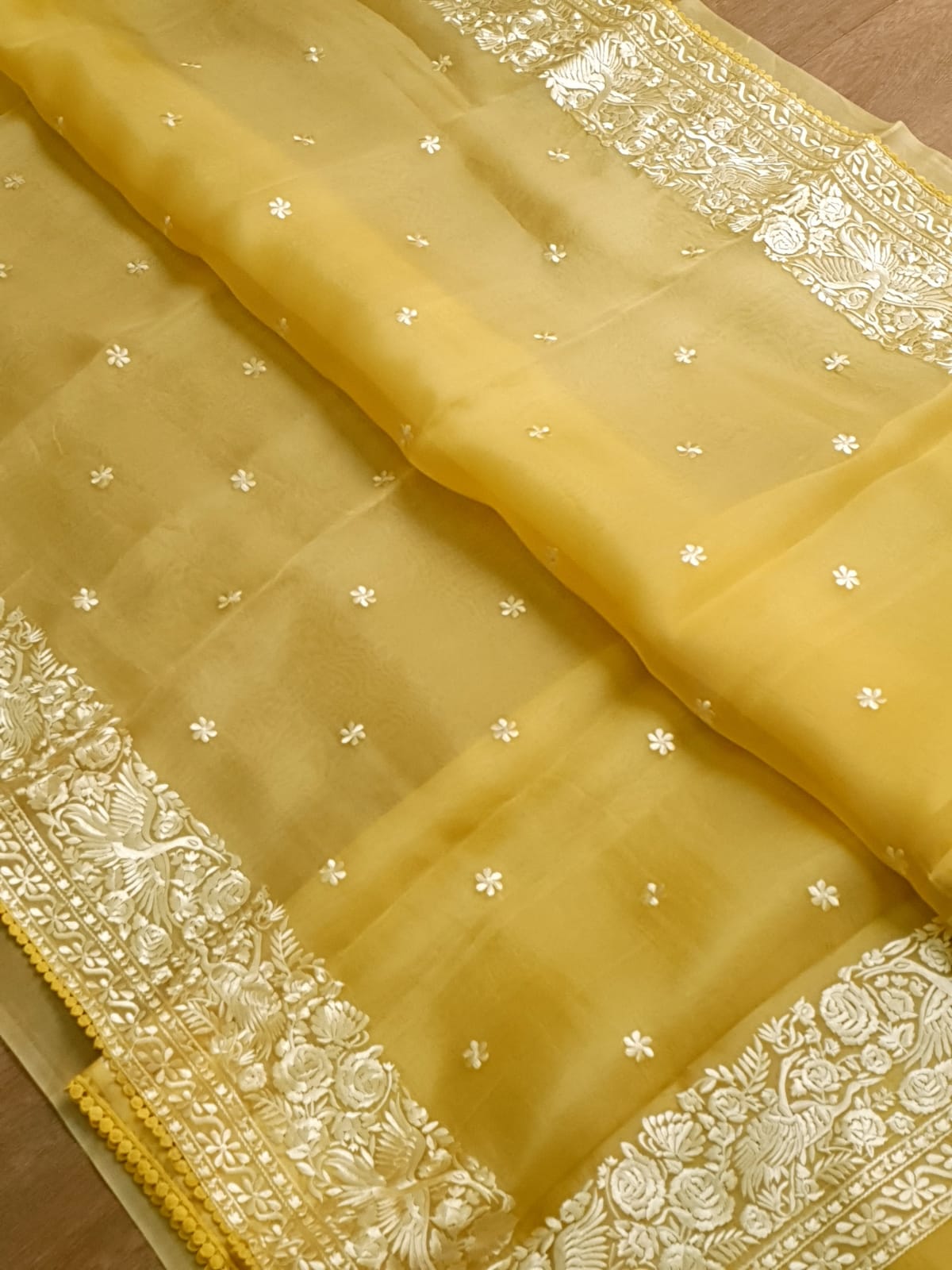 Pure Organza Silk Parsigara Figure Embroidery Border Saree with crochet lace and sleeves in blouse - Resham Wala