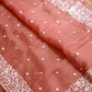 Pure Organza Silk Parsigara Figure Embroidery Border Saree with crochet lace and sleeves in blouse - Resham Wala