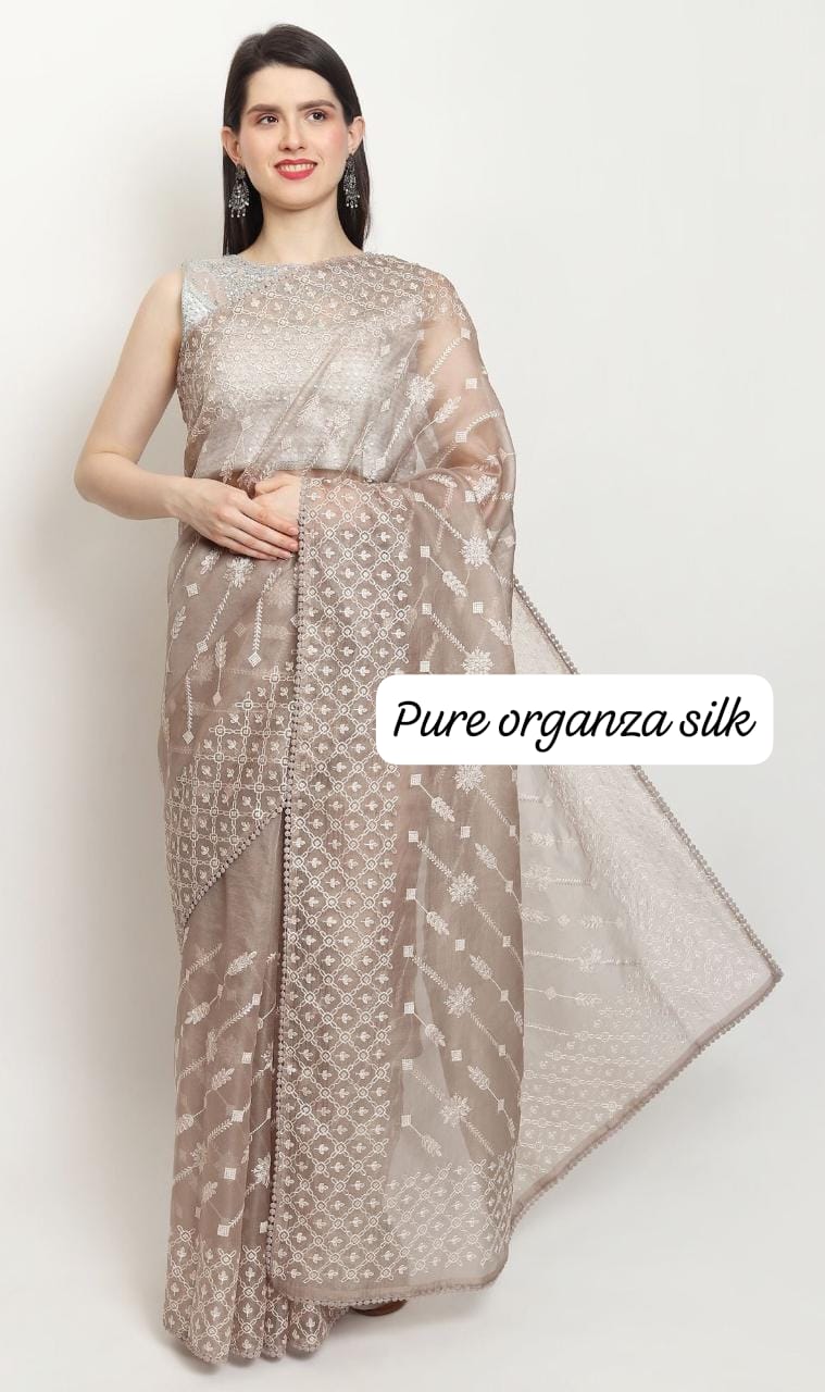 Pure Organza Silk Chikankari Embroidery Ada Lehariya Saree with Crochet lace and heavy blouse - Resham Wala