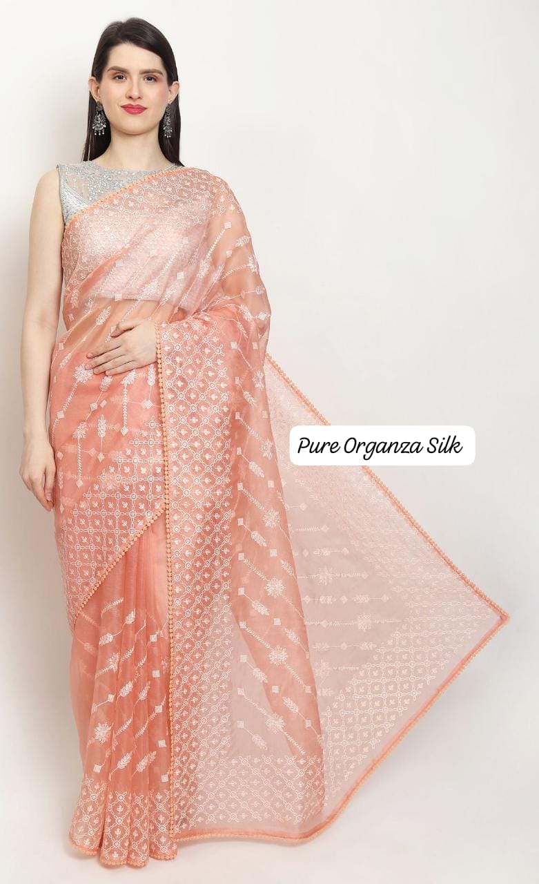 Pure Organza Silk Chikankari Embroidery Ada Lehariya Saree with Crochet lace and heavy blouse - Resham Wala