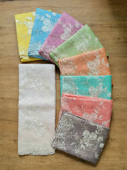 Pure Organza Silk Cutwork Jaal Embroidery Saree - front full view
