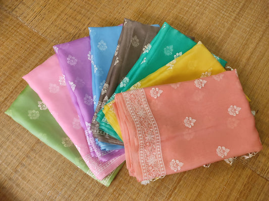 Pure Organza Silk Buta Border Saree - front full view