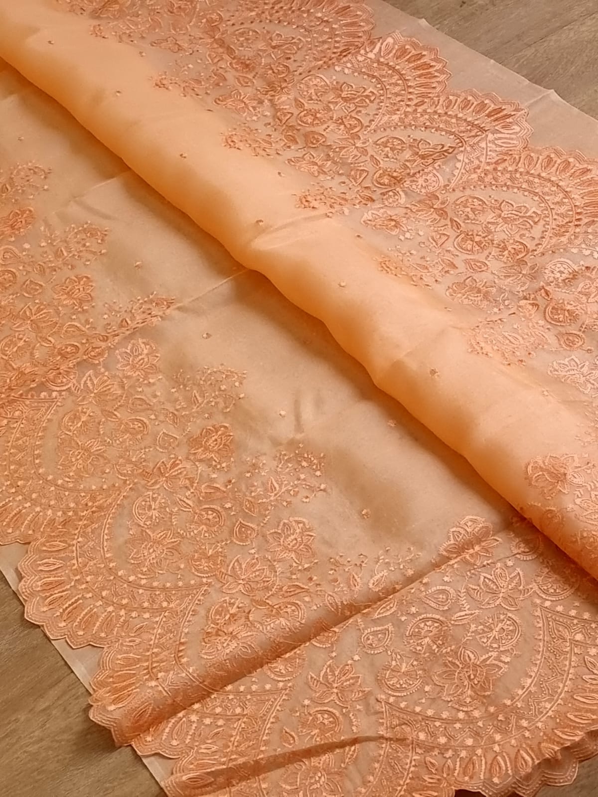 Pure Organza Silk Torani Cutwork Scallop Saree - Vine shade
