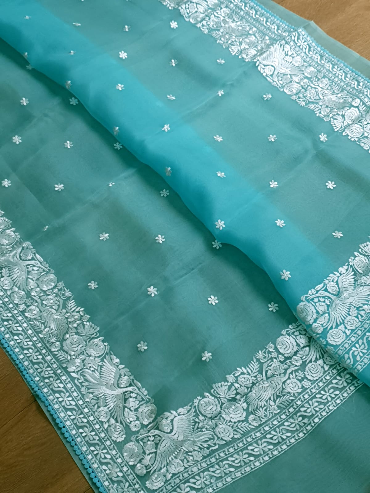 Pure Organza Silk Parsigara Embroidery Saree - blouse back detail