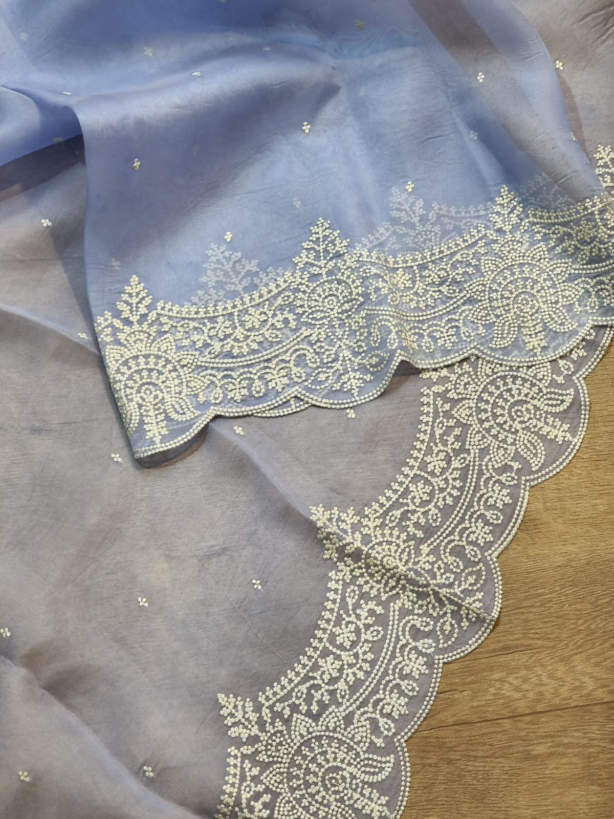 Pure Organza Silk Thread Embroidery Torani Pearl Border with Scallop edges and blouse work - Resham Wala