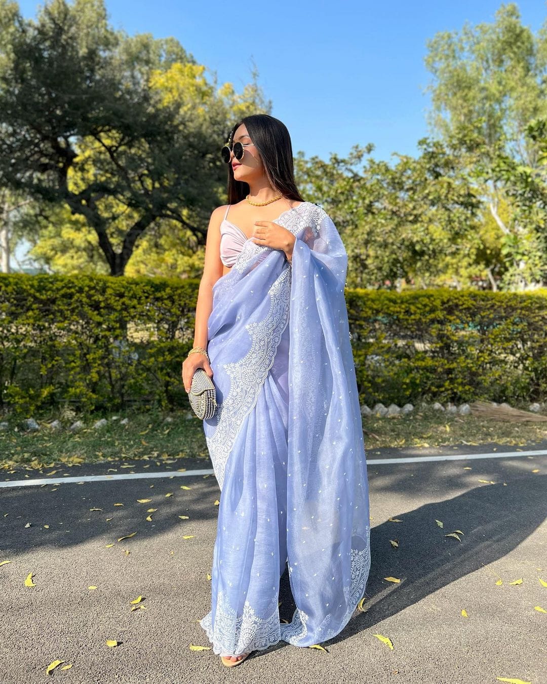 Pure Organza Silk Torani Pearl Border Saree - fabric texture close-up