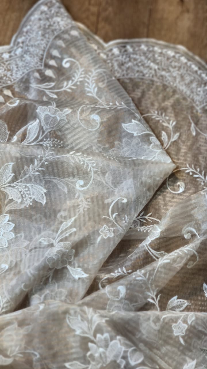 Pure Organza Silk Tissue Stripe Cutwork Jaal Saree - draped side view