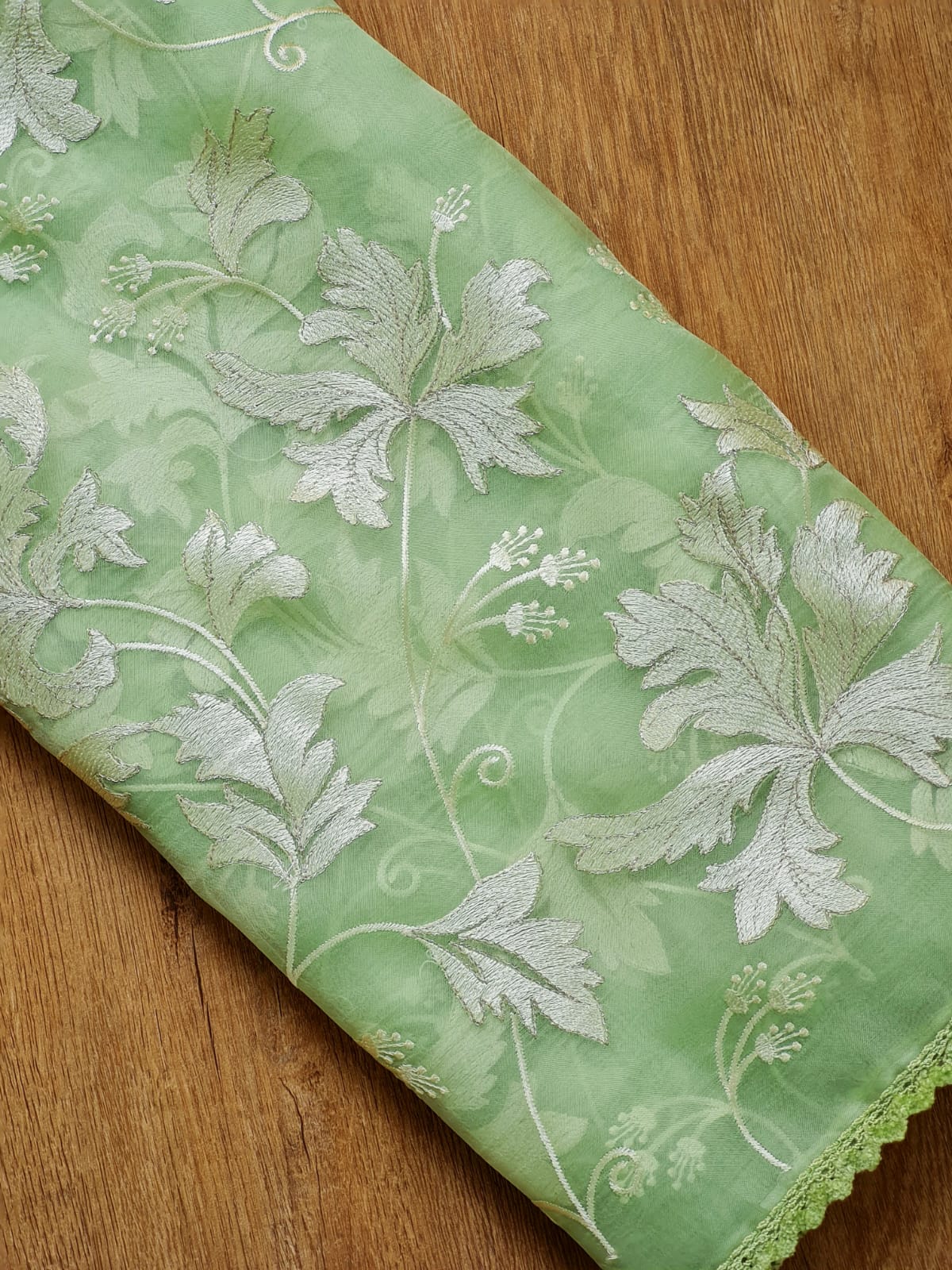 Pure organza silk Velvet Chikankari Saree with Velvet lace and heavy blouse - Resham Wala