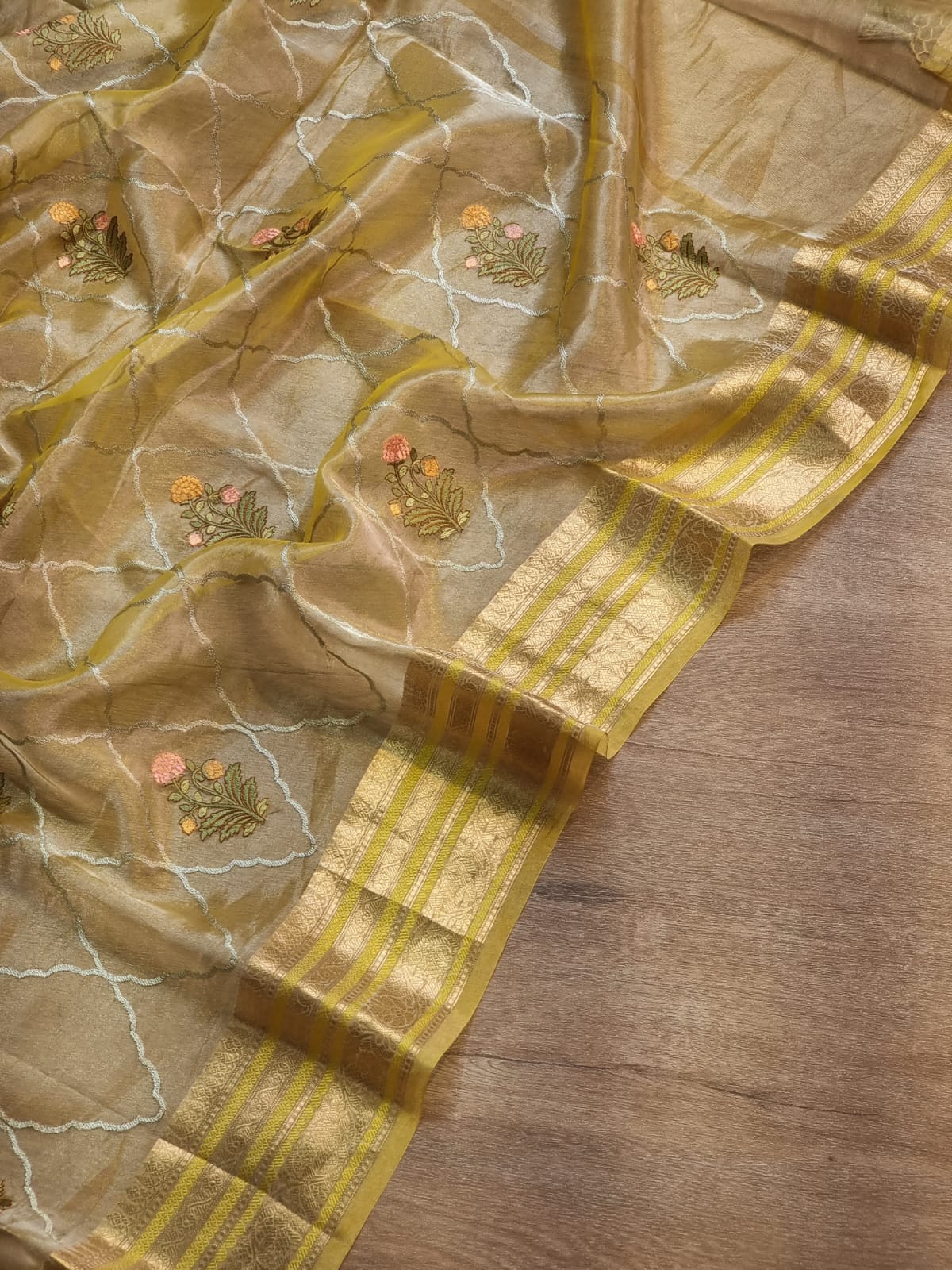 Pure Organza Tissue Jaal Banarasi Border Saree - full drape back view